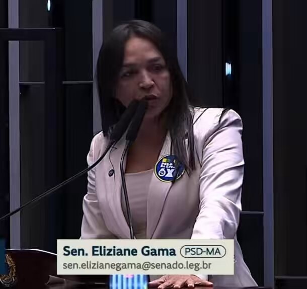 Sen. Eliziane Gama on voting registration