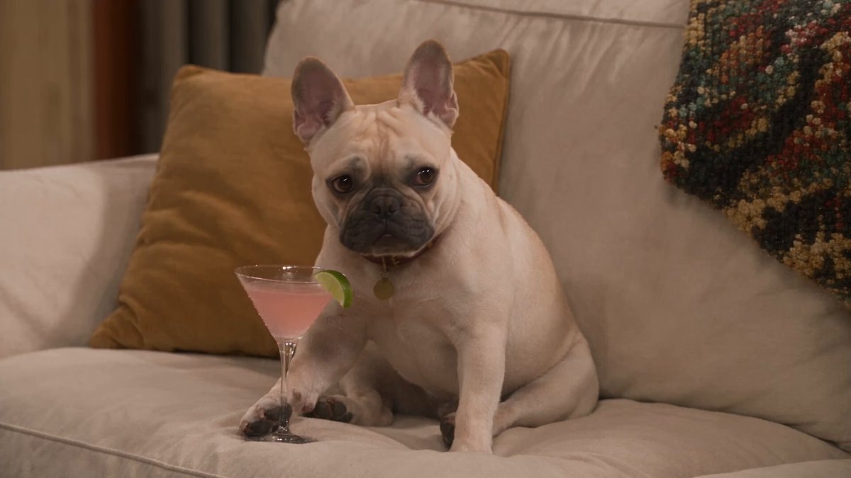 Opus 5.5 dog sitcom