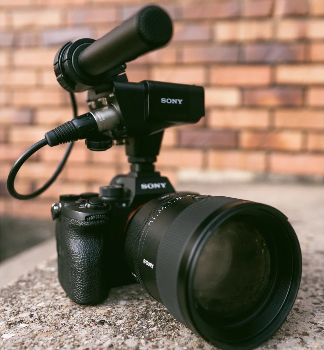 DDG cameraman tryouts (photo 2 of 2)