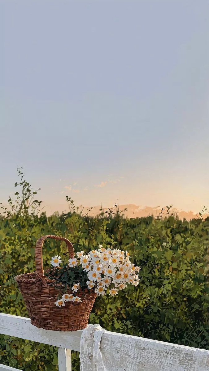 white tulips on beach (photo 4 of 4)