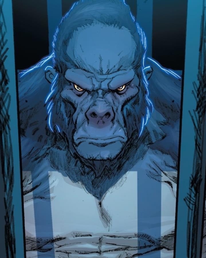 THE PEOPLE VS. GORILLA GRODD DCU THE PEOPLE VS. GORILLA GRODD DCU