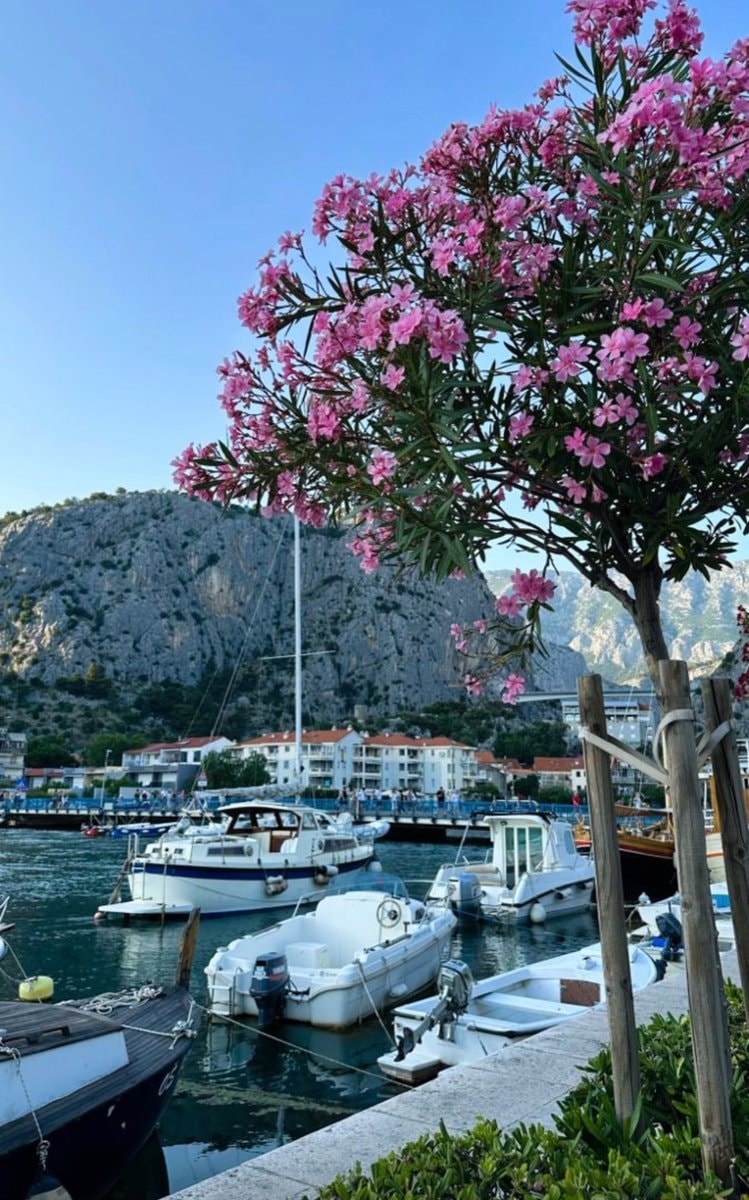 Omis Croatia harbor