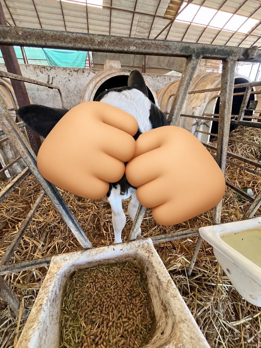 calf with cartoon hands