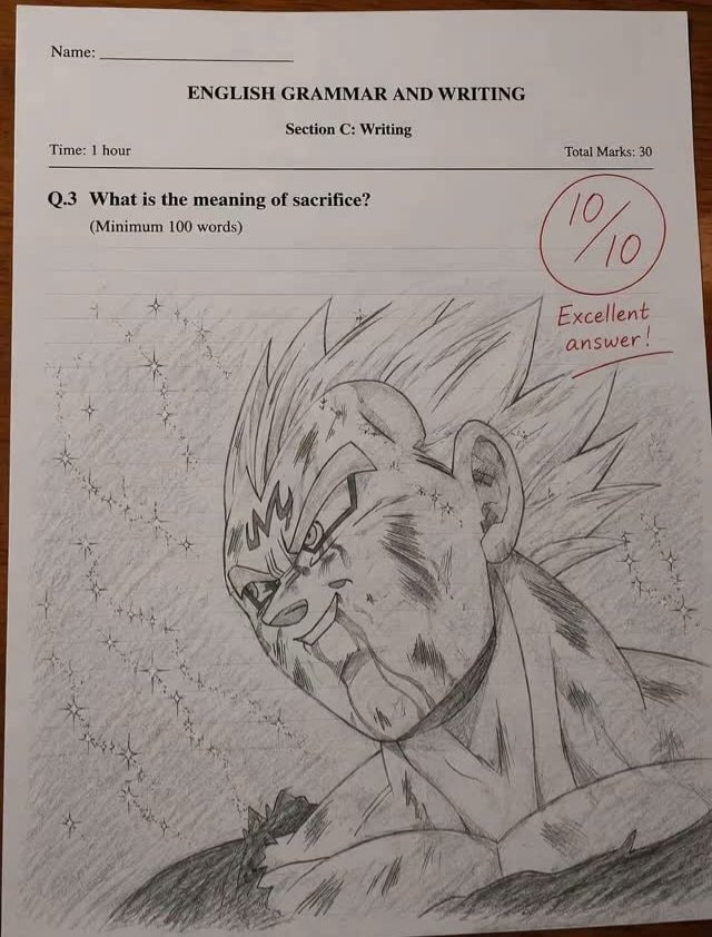 Vegeta test answer sketch Vegeta test answer sketch