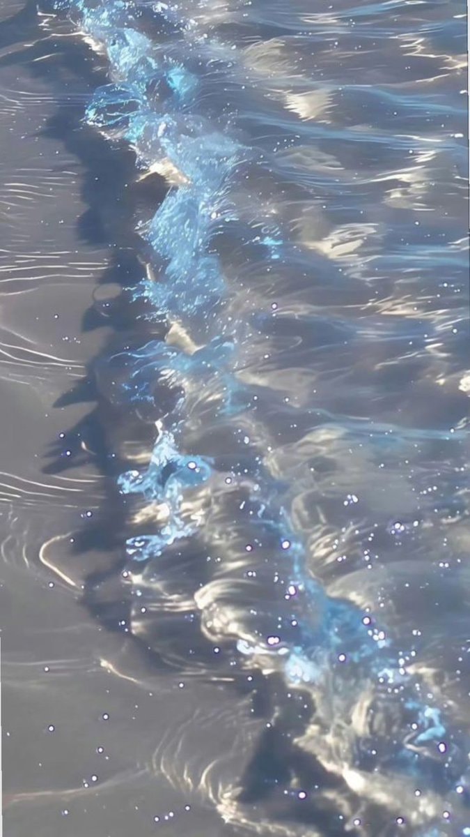 rippling water light reflection (photo 4 of 4)