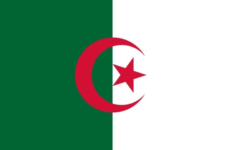 Algerian population in France 2000-2011 (photo 2 of 3)