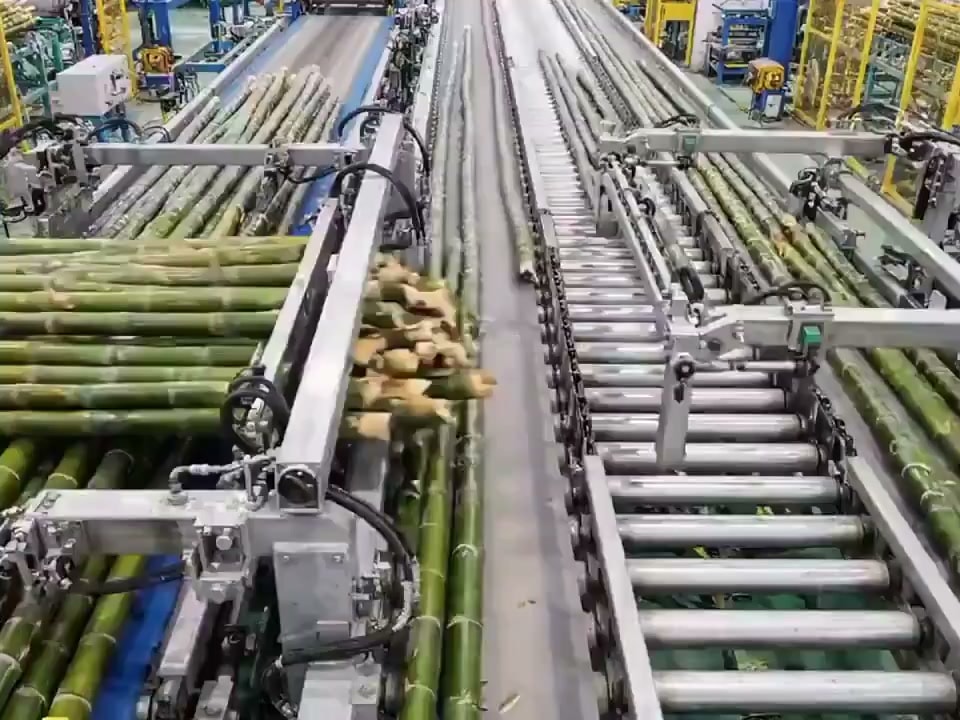 Bamboo versatility