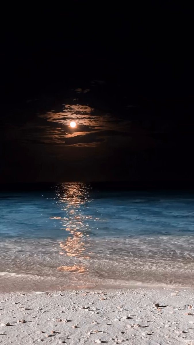 night beach moonlight