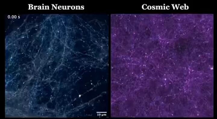 galaxies as cells in a larger entity galaxies as cells in a larger entity