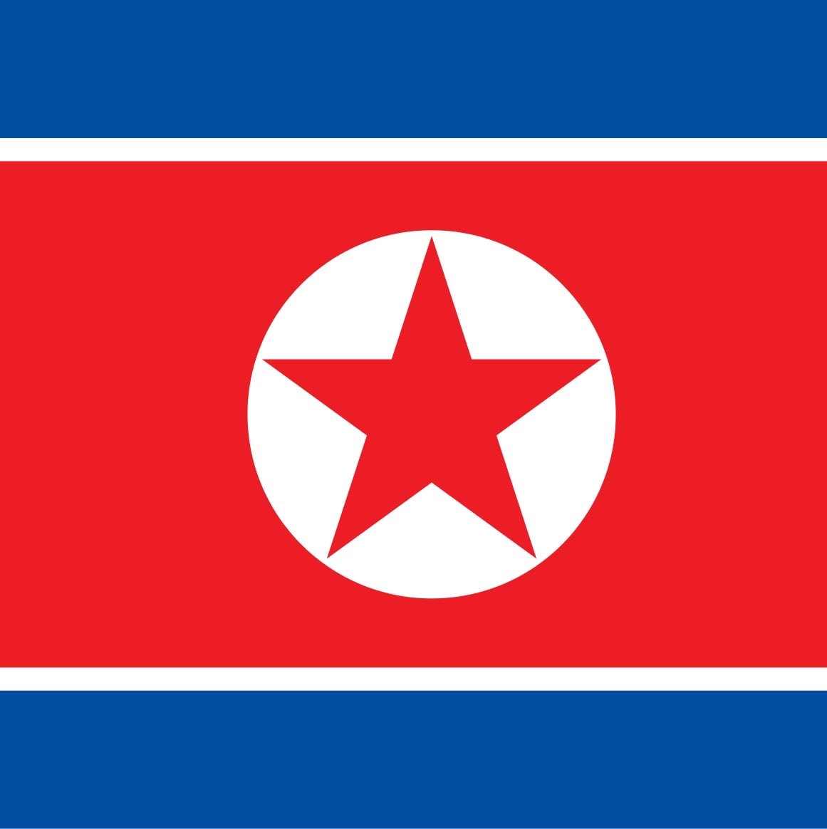 North Korea flag North Korea flag