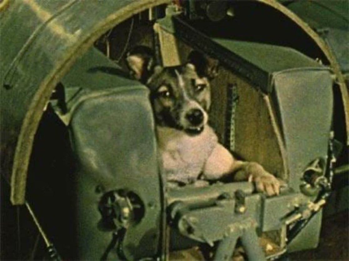 Laika first dog in space 1957