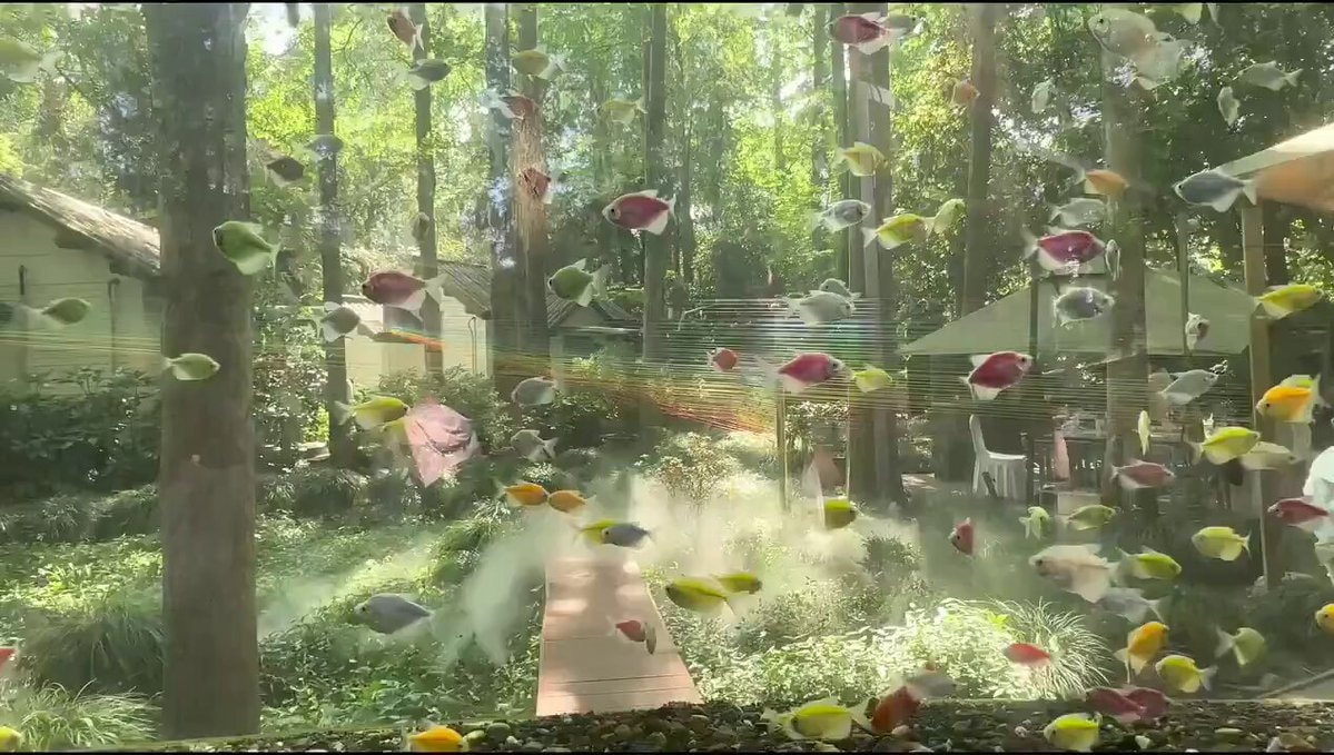colorful fish in outdoor-style aquarium