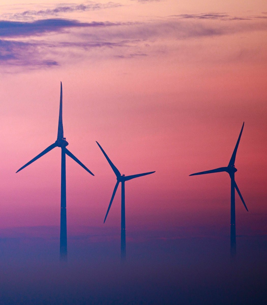 Global renewable energy share 2025