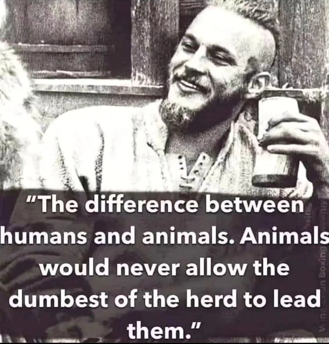 herd leadership meme herd leadership meme