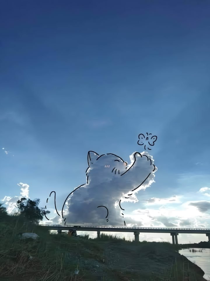 Art of nature Art of nature