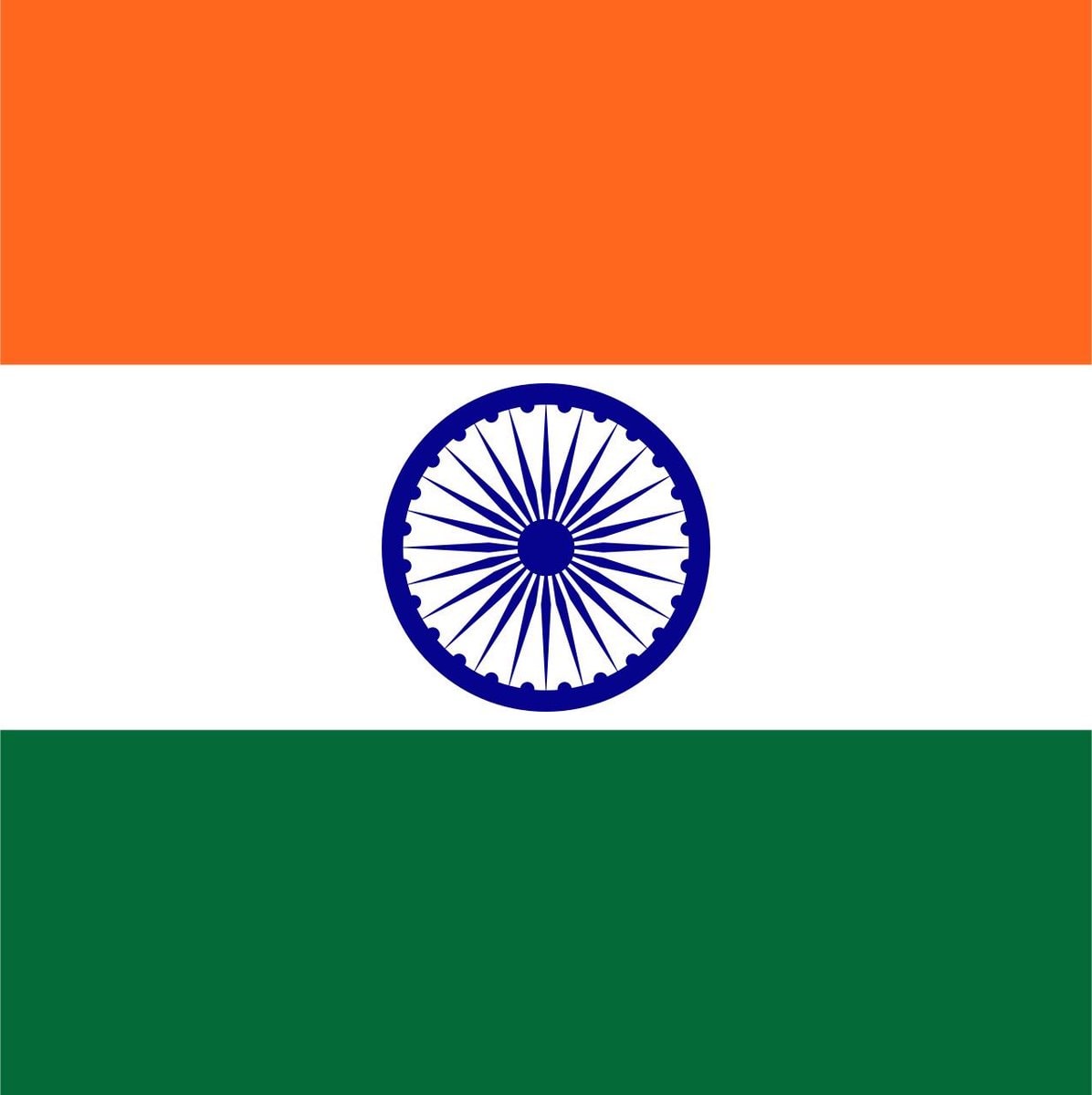 Cockroach movement founder detained in India (photo 2 of 2)