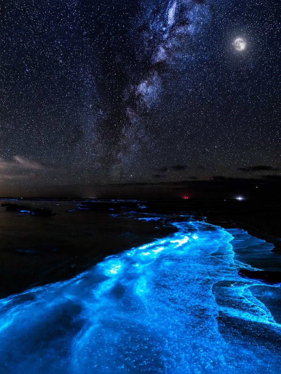 bioluminescent waves beach night (photo 2 of 4)