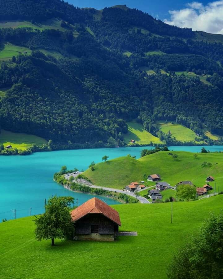 Switzerland lake landscape (photo 2 of 4)