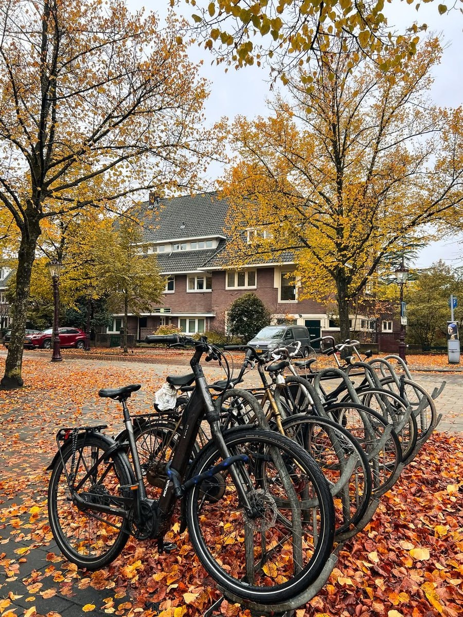Amsterdam Netherlands (photo 2 of 3)