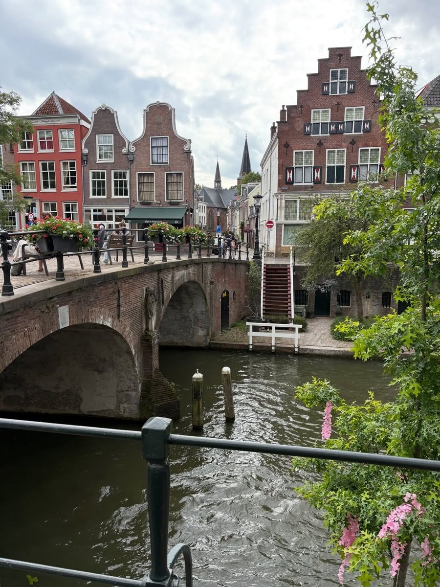 Amsterdam Netherlands pink bicycle (photo 2 of 4)