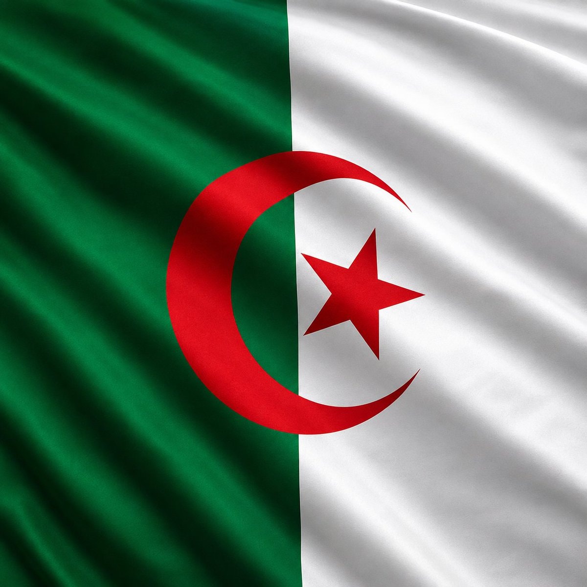 Riyad Mahrez Algeria captain (photo 2 of 2) Riyad Mahrez Algeria captain (photo 2 of 2)
