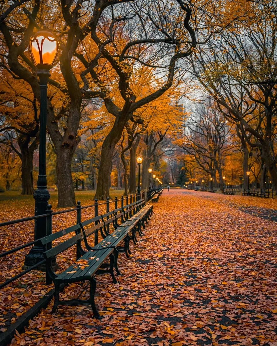 Manhattan autumn in New York City
