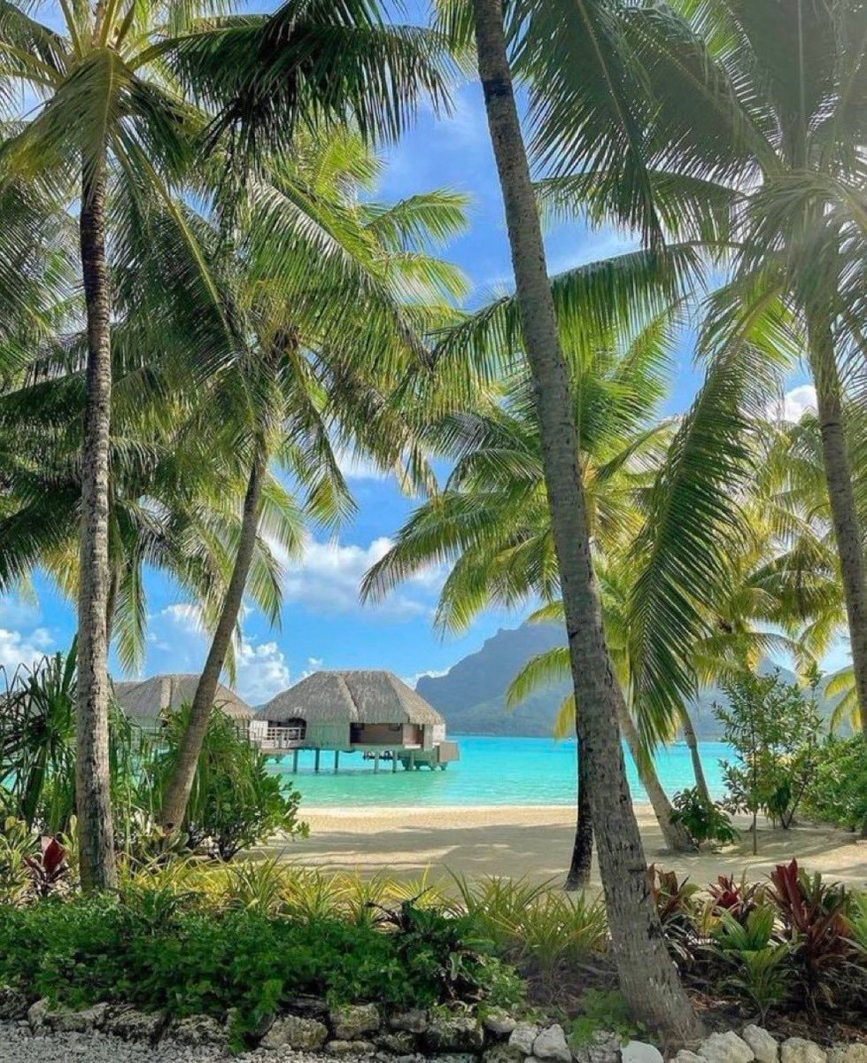 Bora Bora paradise (photo 2 of 4)