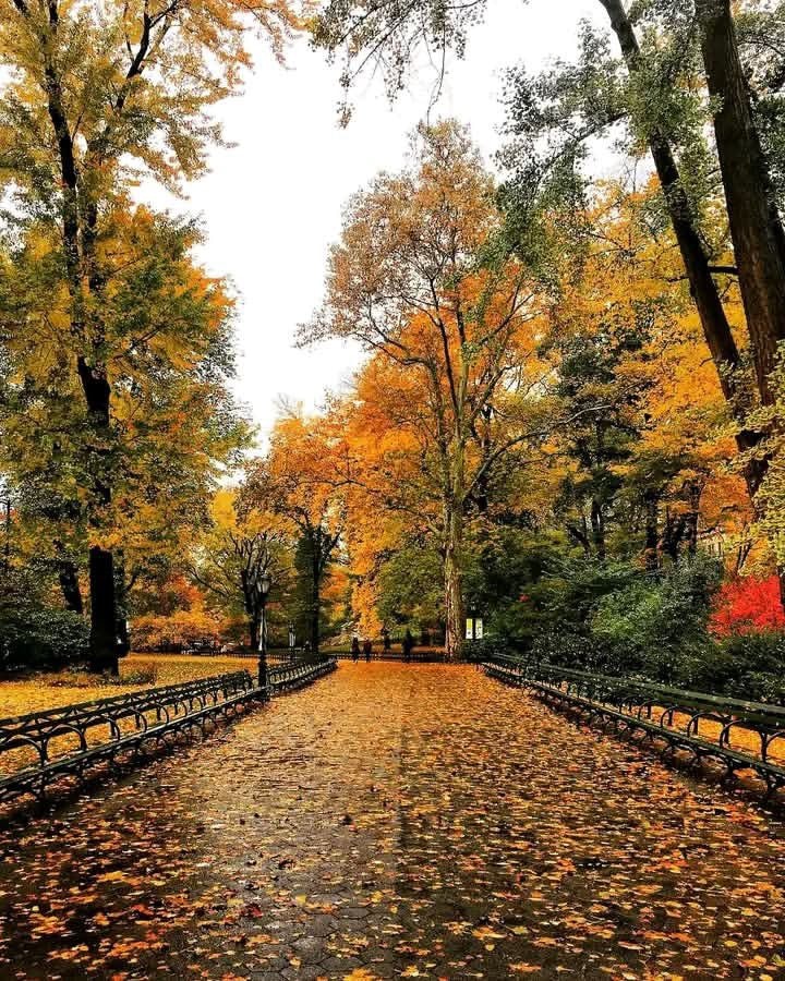 Central Park autumn New York