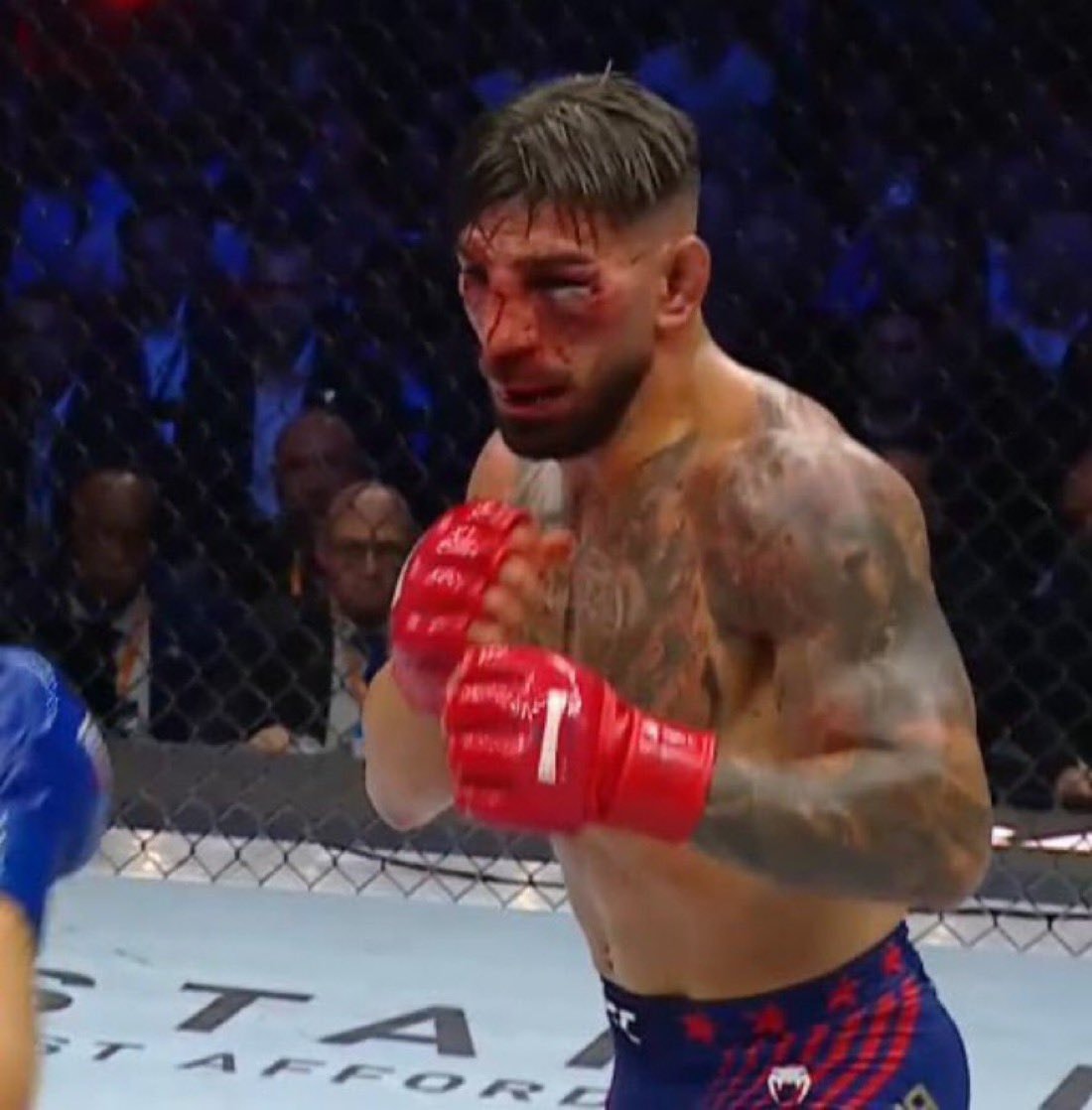 UFC 306 post-fight interview (photo 2 of 2)
