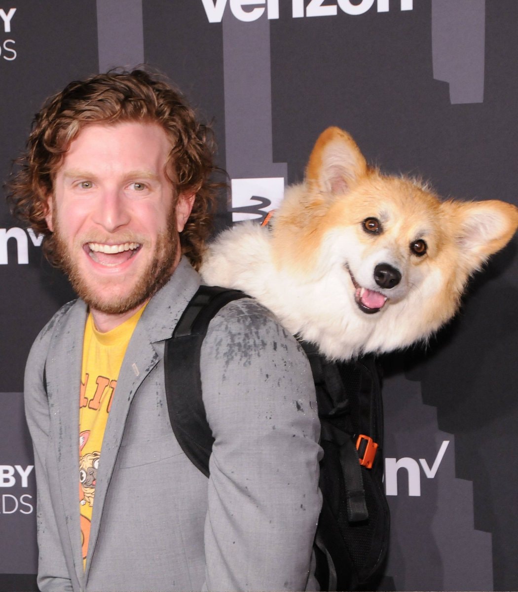 Bryan Reisberg backpack dog adoption