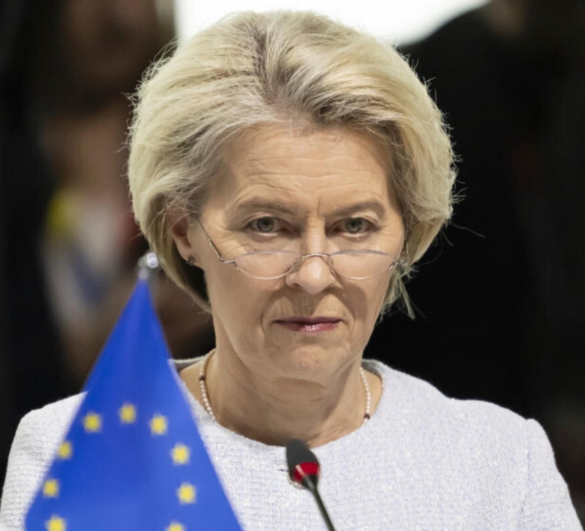 Marine Le Pen on the European Union (photo 2 of 2)