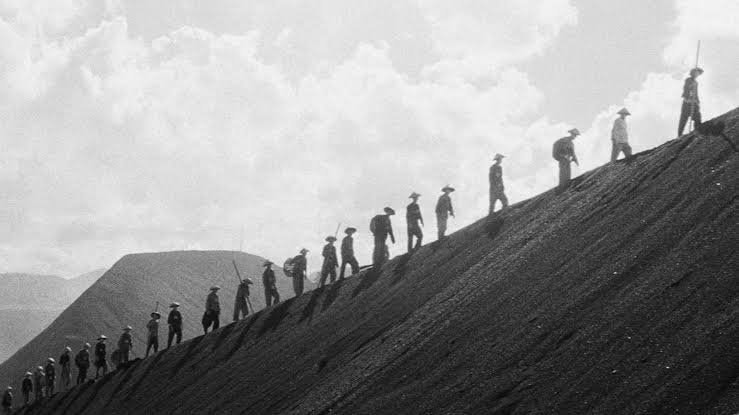 B&W cinematography lone man in field (photo 2 of 4)