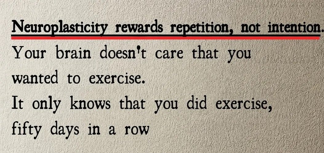 Neuroplasticity explained