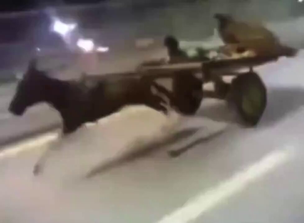 Cape Verde slowest player horse cart