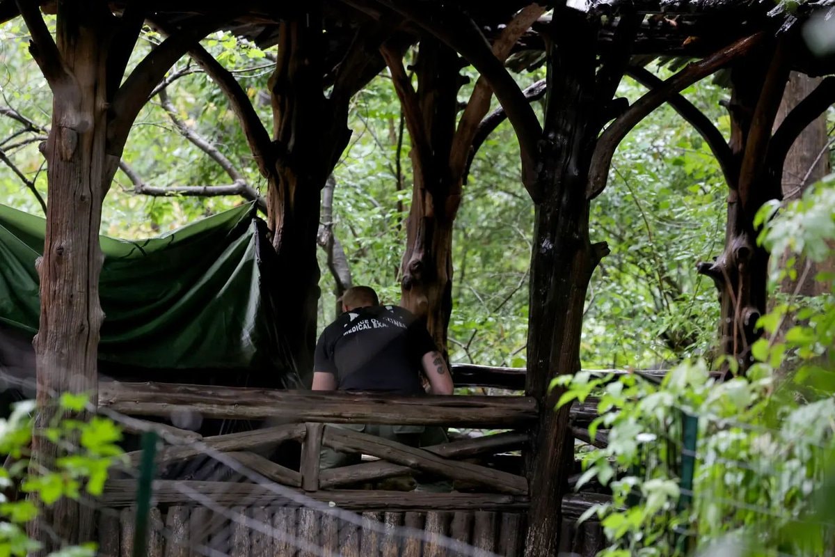 Central Park boathouse gazebo death