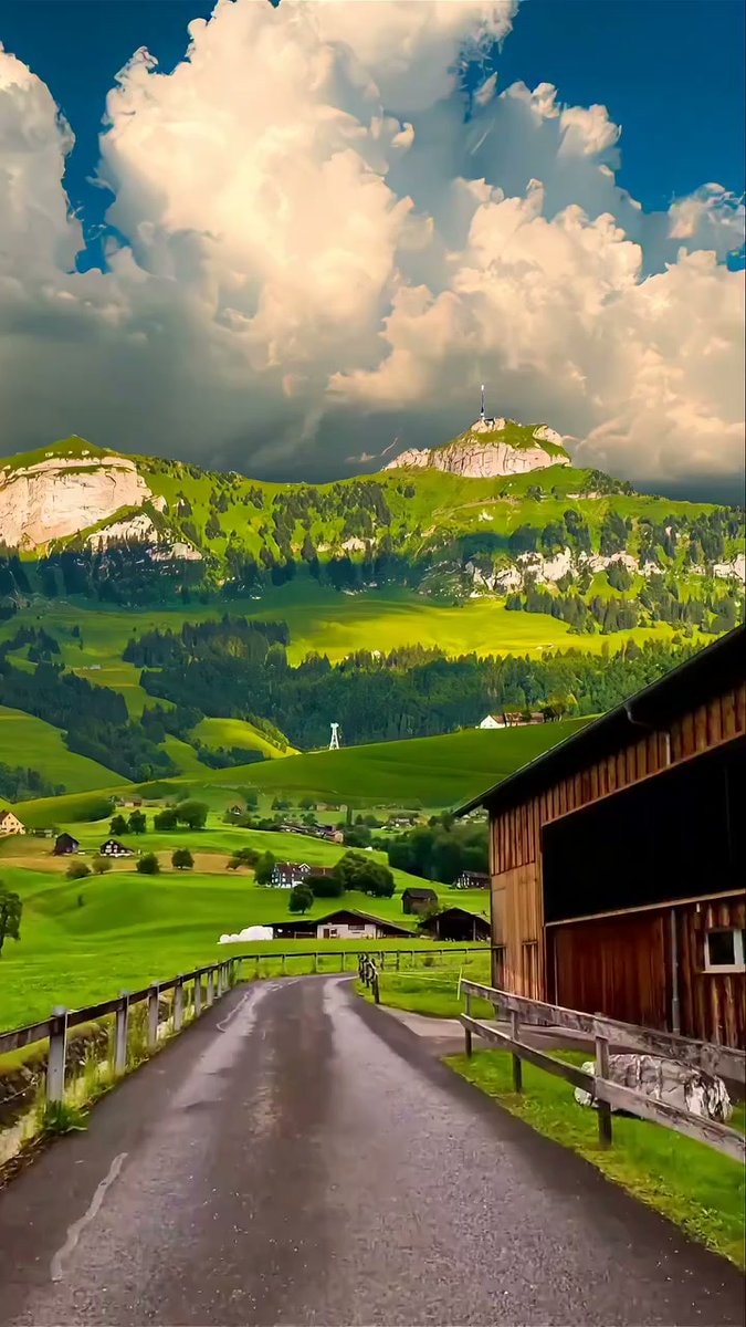 peaceful landscape