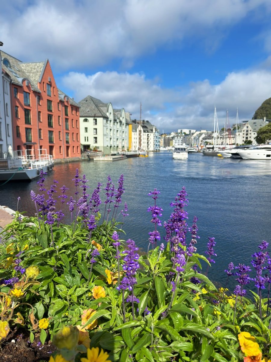 Alesund Norway (photo 4 of 4)