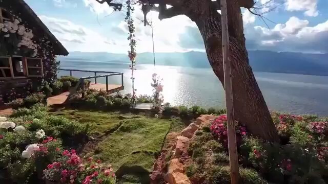 serene lakeside garden swing