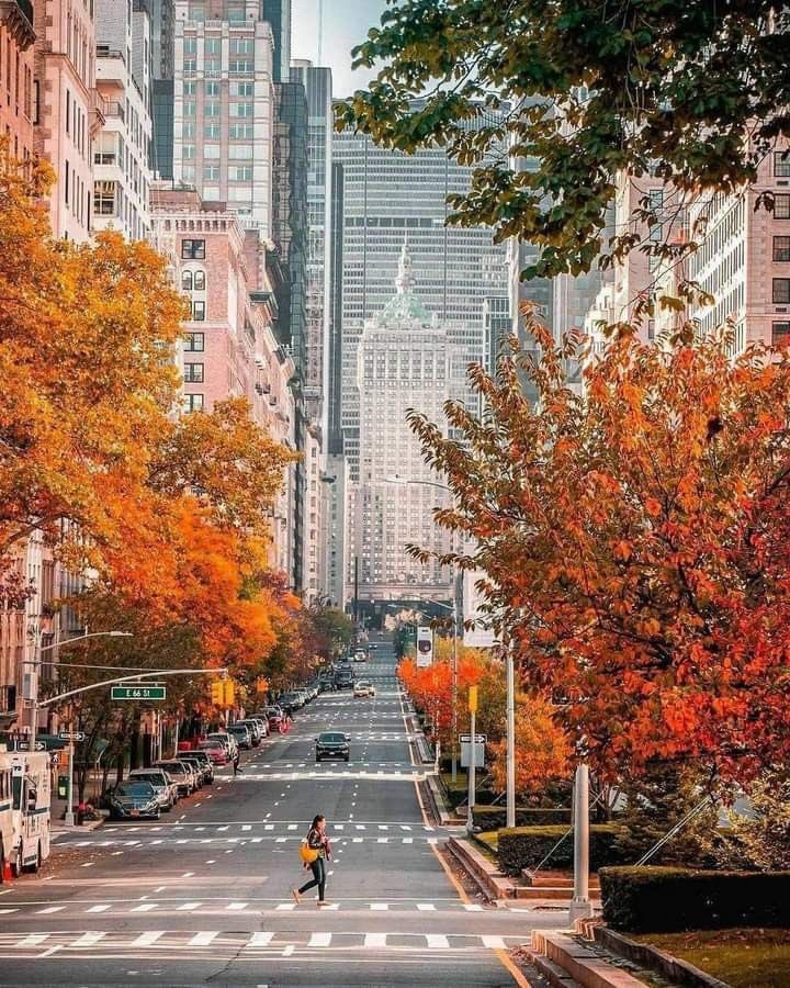 New York in Autumn (photo 3 of 4)