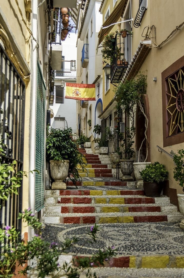 Alicante Italy blue potted plants street (photo 2 of 4)