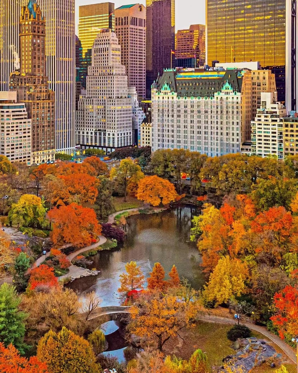 Autumn in New York (photo 1 of 4)