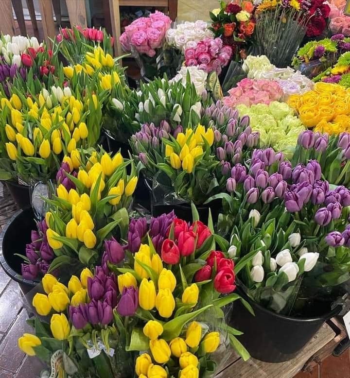 Pike Place Market tulips (photo 2 of 2)
