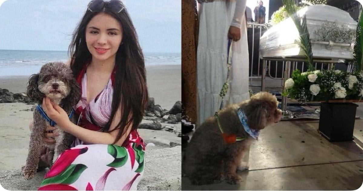 Colombian woman protects blind dog during earthquake
