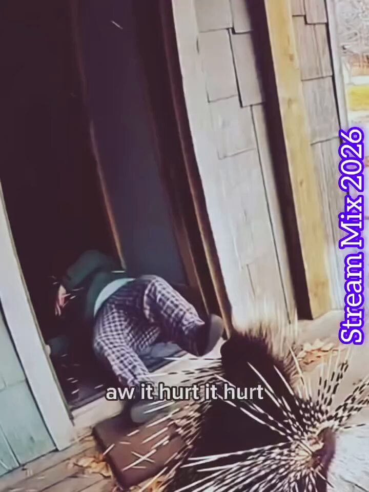unbelievable funny moments captured by camera