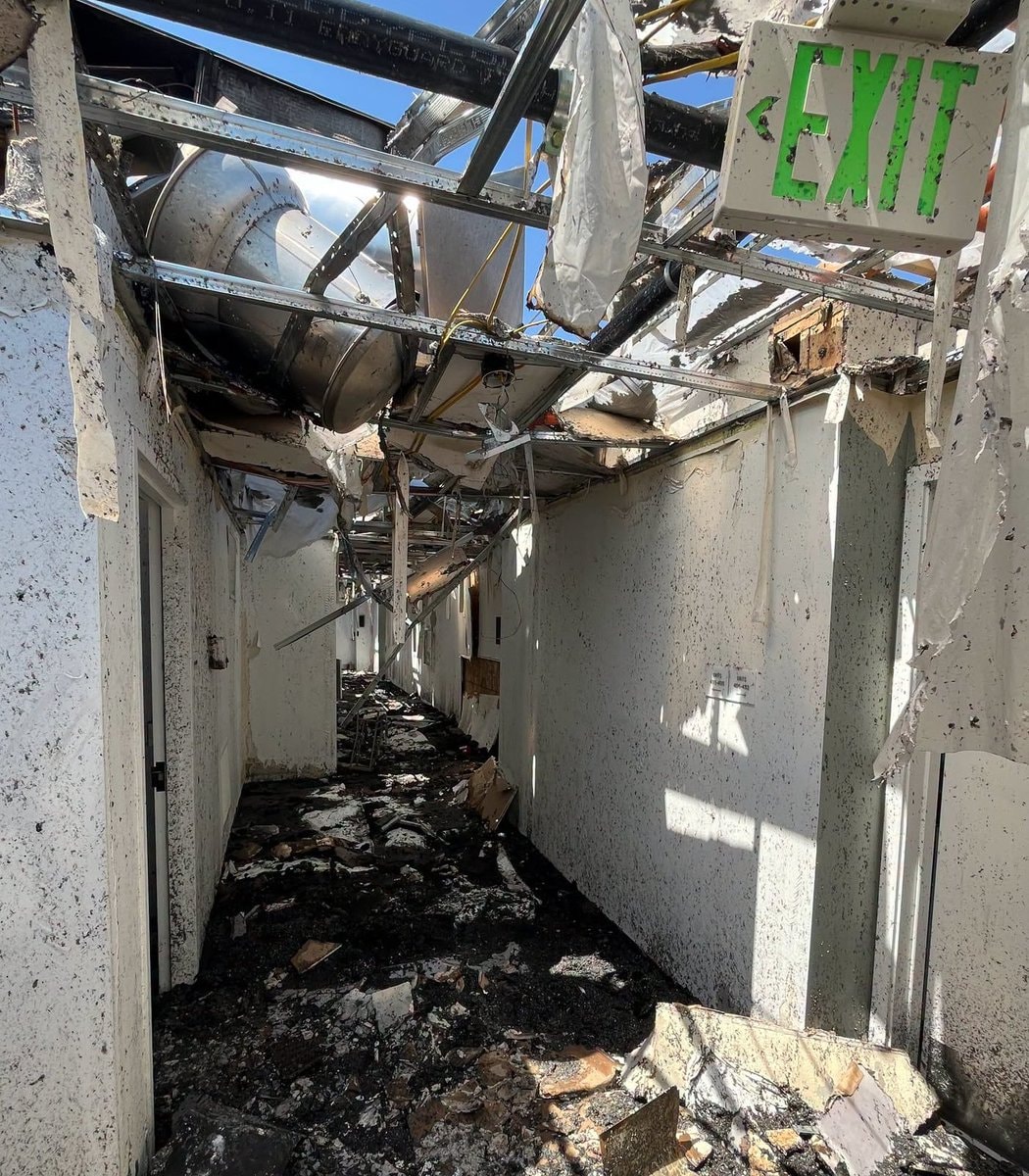 Toast the cat survives Utah fire (photo 2 of 2)