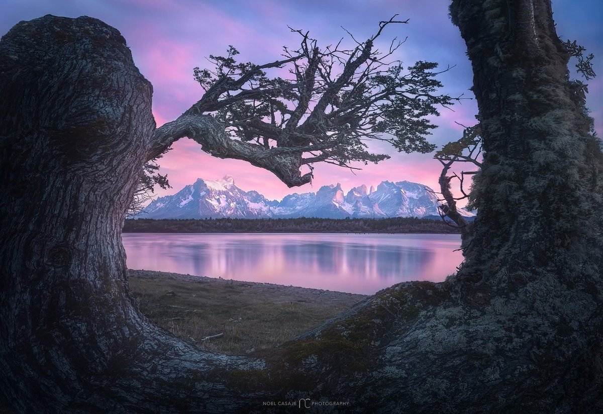Patagonia photography tours since 2018 (photo 4 of 4) Patagonia photography tours since 2018 (photo 4 of 4)