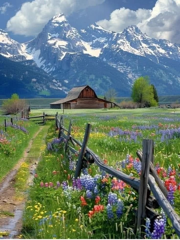 Lauterbrunnen Switzerland cabin (photo 2 of 2)