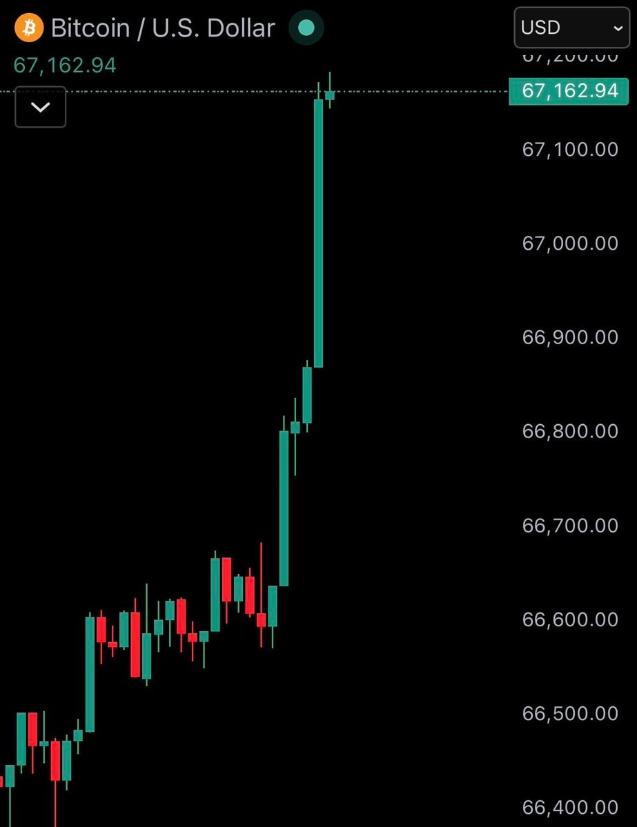 Bitcoin price $67,000
