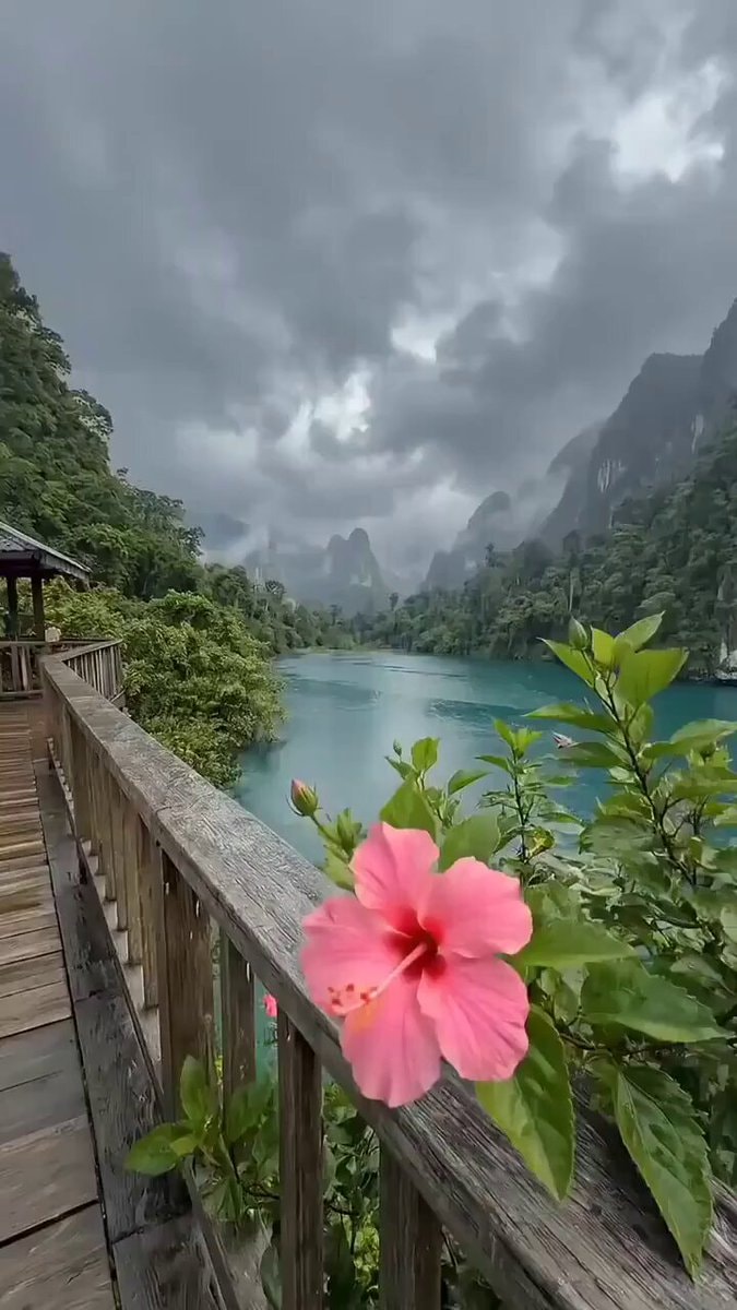 Thailand scenic landscape with pink hibiscus