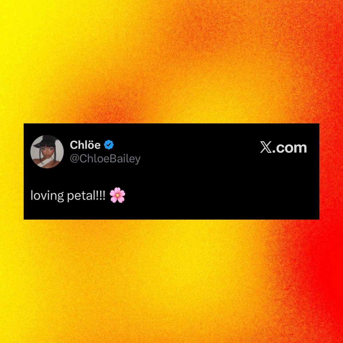 Chlöe Bailey praises Ariana Grande petal (photo 2 of 2)